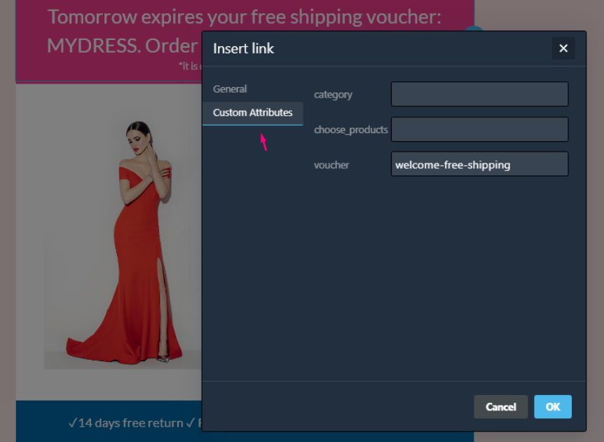 custom voucher attribute
